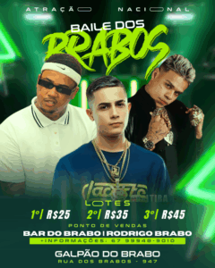TEMPLATE DOS BRABOS